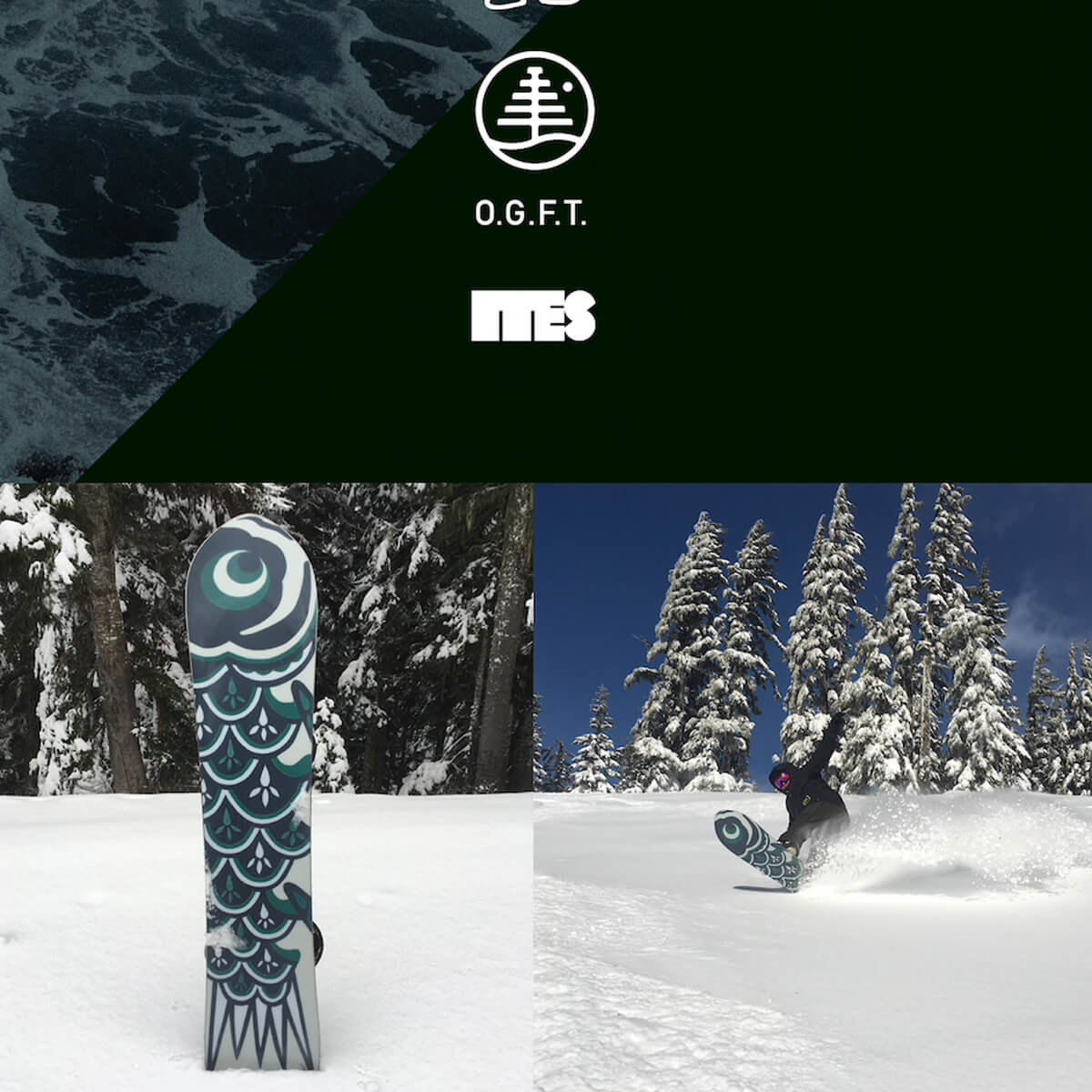 BURTON FISH 3D 161 | Obsession Shop