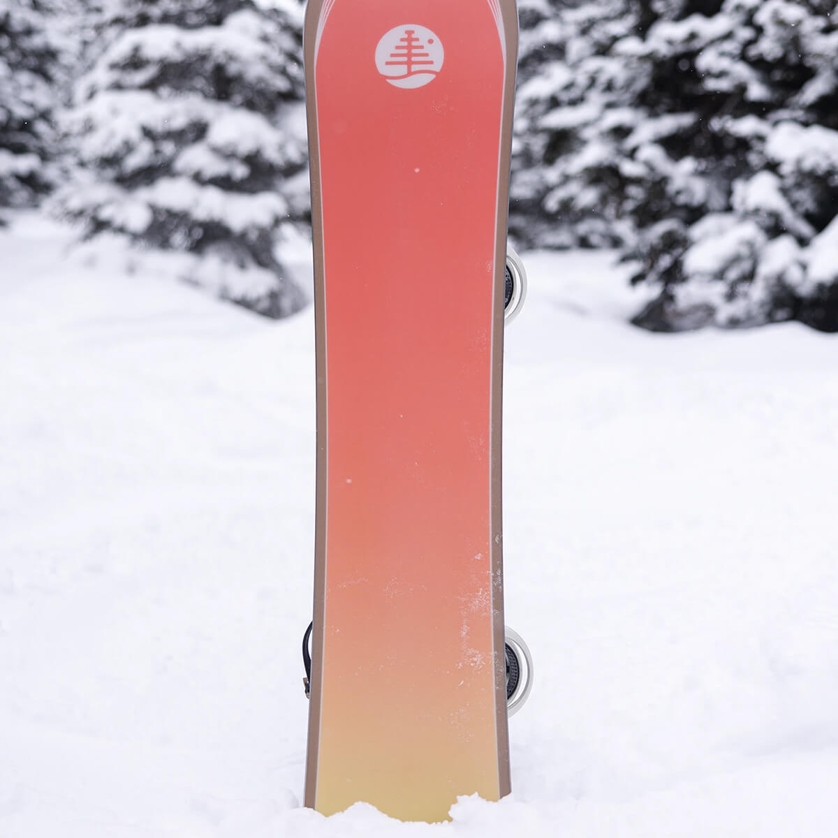 BURTON FAMILY TREE GRIL MASTER SNOWBOARD 155W Obsession Shop